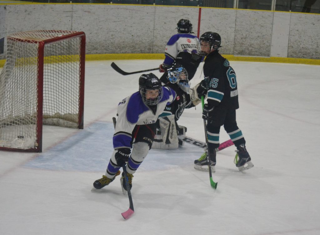 <p>MOVING ON- Terra Vista Pee Wee BB Kings forward Reese Kleinsteuber is all smiles after he scored in the first period of his team’s win over Lindsay on Saturday. The Kings tangle with Napanee in the second round of the 2018 OMHA playoffs. (Jason Parks/Gazette Staff)</p>
