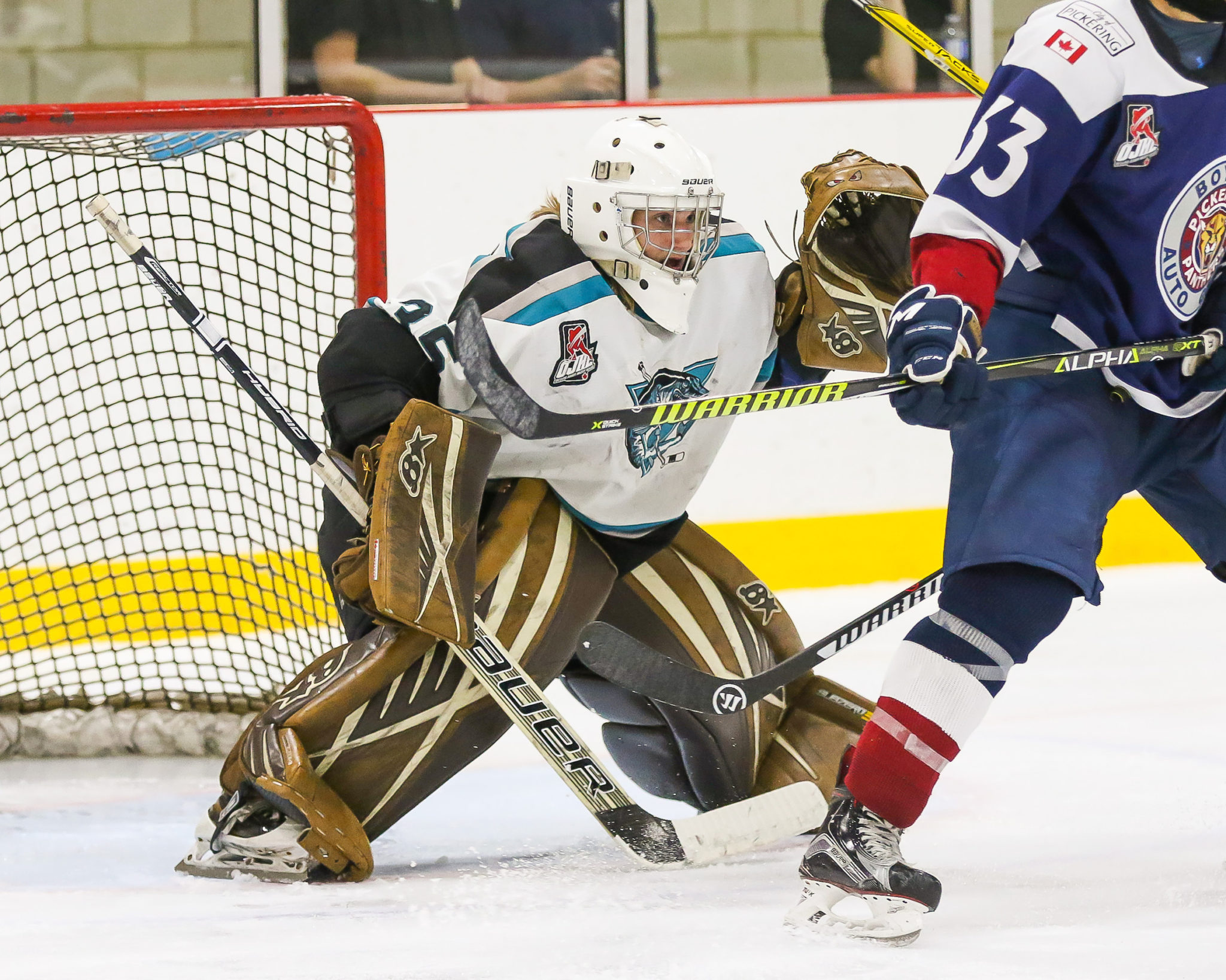 <p>NEW DUKE- The Wellington Dukes have added Tyler Richardson from the Lindsay Muskies. Richardson leads the Ontario Junior Hockey League in saves with 940.<br />
(Photo by Ray MacAloney / OJHL Images)</p>
