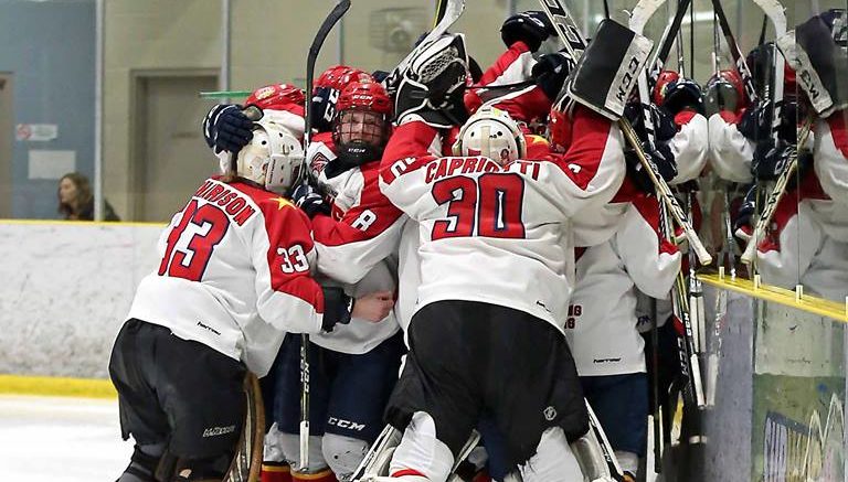 <p>OH WHAT A FEELING- The Wellington Dukes celebrate their dramatic Game 7 win Tuesday evening. The Dukes bested the Newmarket Hurricanes 3-2 in overtime. (Submitted Photo)</p>

