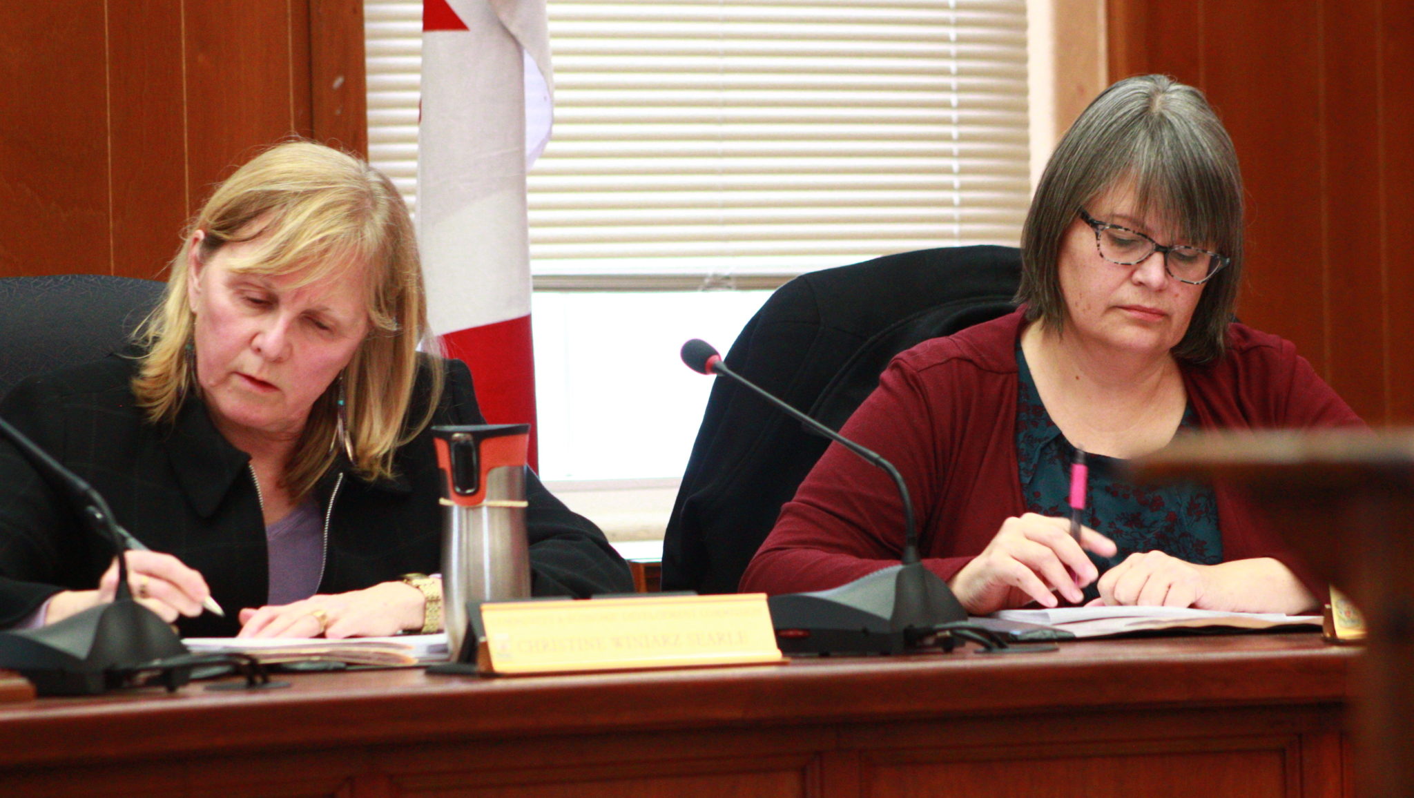<p>New Community and Economic Development Commission chair Christine Winiarz Searle, and vice chair Lynn Sullivan. (Chad Ibbotson/Gazette staff)</p>

