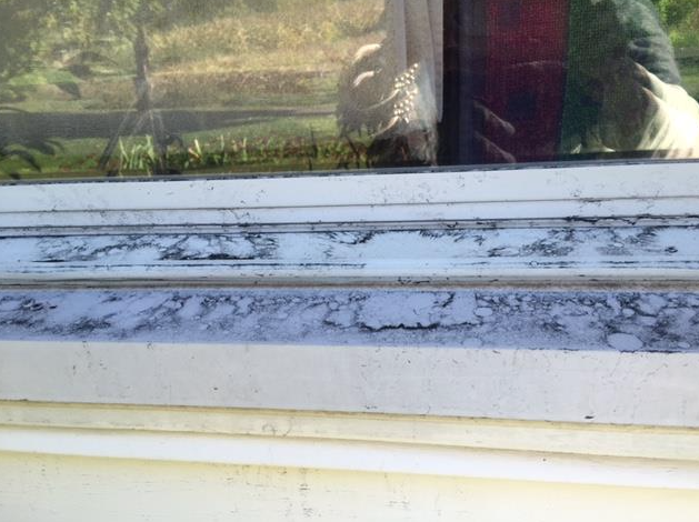 <p>DUST IN THE WIND- Petcoke, a material used in the making of cement, was found at a White Chapel residence in October, 2016. (Submitted Photo)</p>
