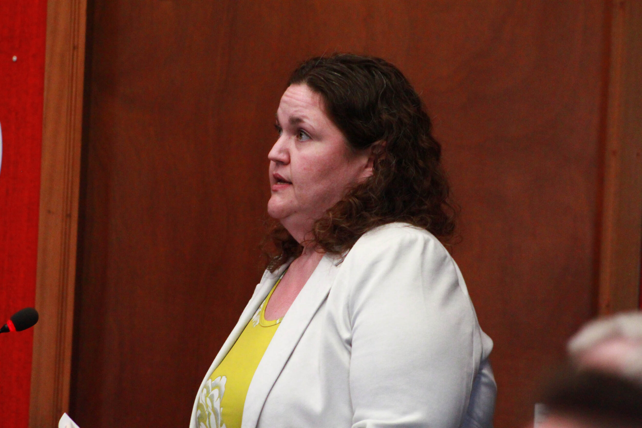 <p>Career Edge employment services co-ordinator for Prince Edward and Lennox and Addington counties Katy Mitchell detailed the new HEAT pilot project last week. (Chad Ibbotson/Gazette staff)</p>
