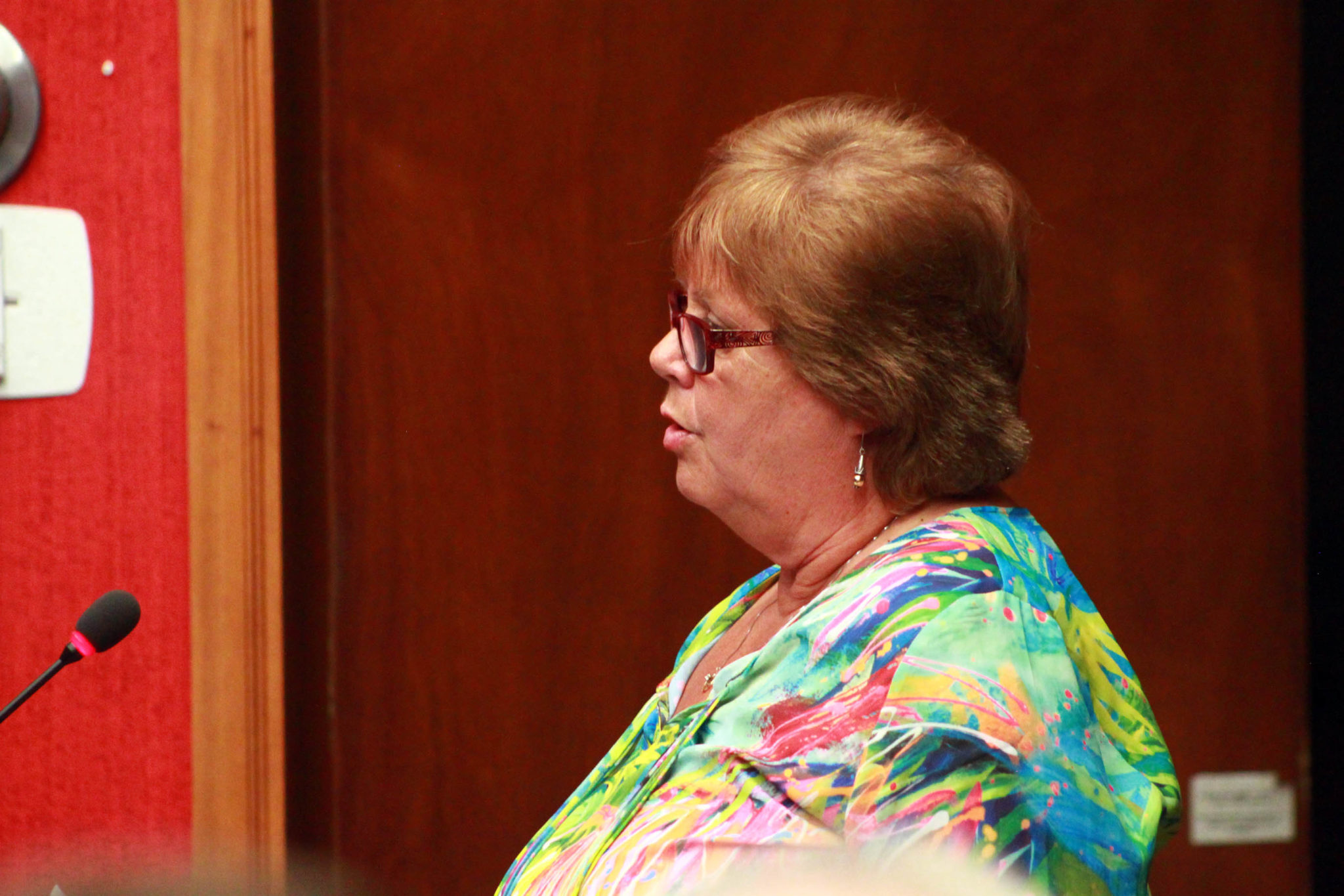 <p>LoveSong Seniors Housing and Community Hub project lead addressed council Tuesday. (Chad Ibbotson/Gazette staff)</p>
