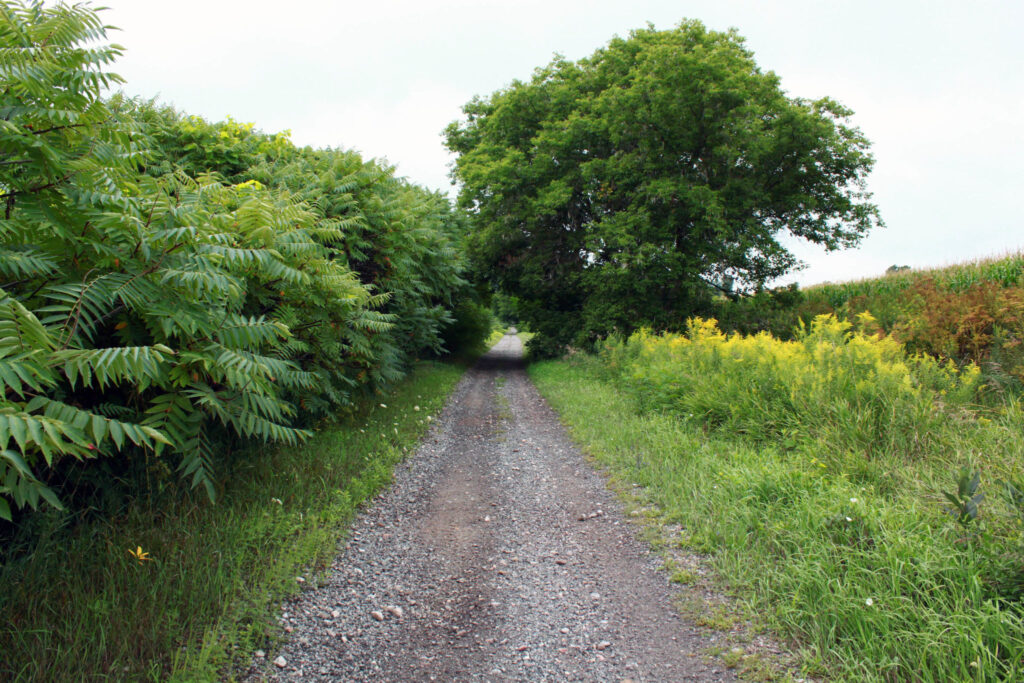 <p>The Millennium Trail. (Chad Ibbotson/Gazette Gazette File Photo)</p>
