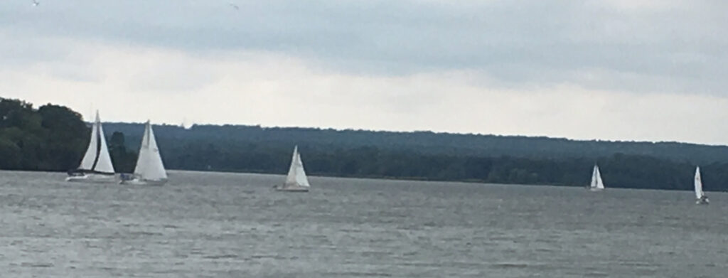 <p>Local water vistas were filled with the masts of sailboats this weekend as sailors from around the region took part in the 50th annual race for the Katie Gray Trophy from the Bay of Quinte Yacht Club to the Prince Edward Yacht Club. More than 2,000 boats have participated in the race over the years. This year, Promises Promises was the lead boat in the spinnaker fleet, finishing with a corrected time of 4:24:48. Irish Rover III won the white sail fleet with a corrected time of 4:38:41.  In both fleets, Prince Edward Yacht Club entries finished as the runners up. In the spinnaker fleet, the top local entry was War Paint.  In the white sail fleet, it was Fox on the Run. (Adam Bramburger/Gazette staff)</p>
