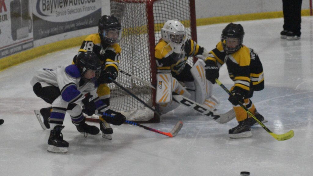 <p>CHARGED UP- (Left) Blake Shephard and his Novice County Farm Centre Kings will be amongst the 44 teams playing in the 9th annual Recharge with Milk Minor Hockey Tournament presented by the Dairy Producers of Prince Edward County here this weekend. (Jason Parks/Gazette Staff)</p>
