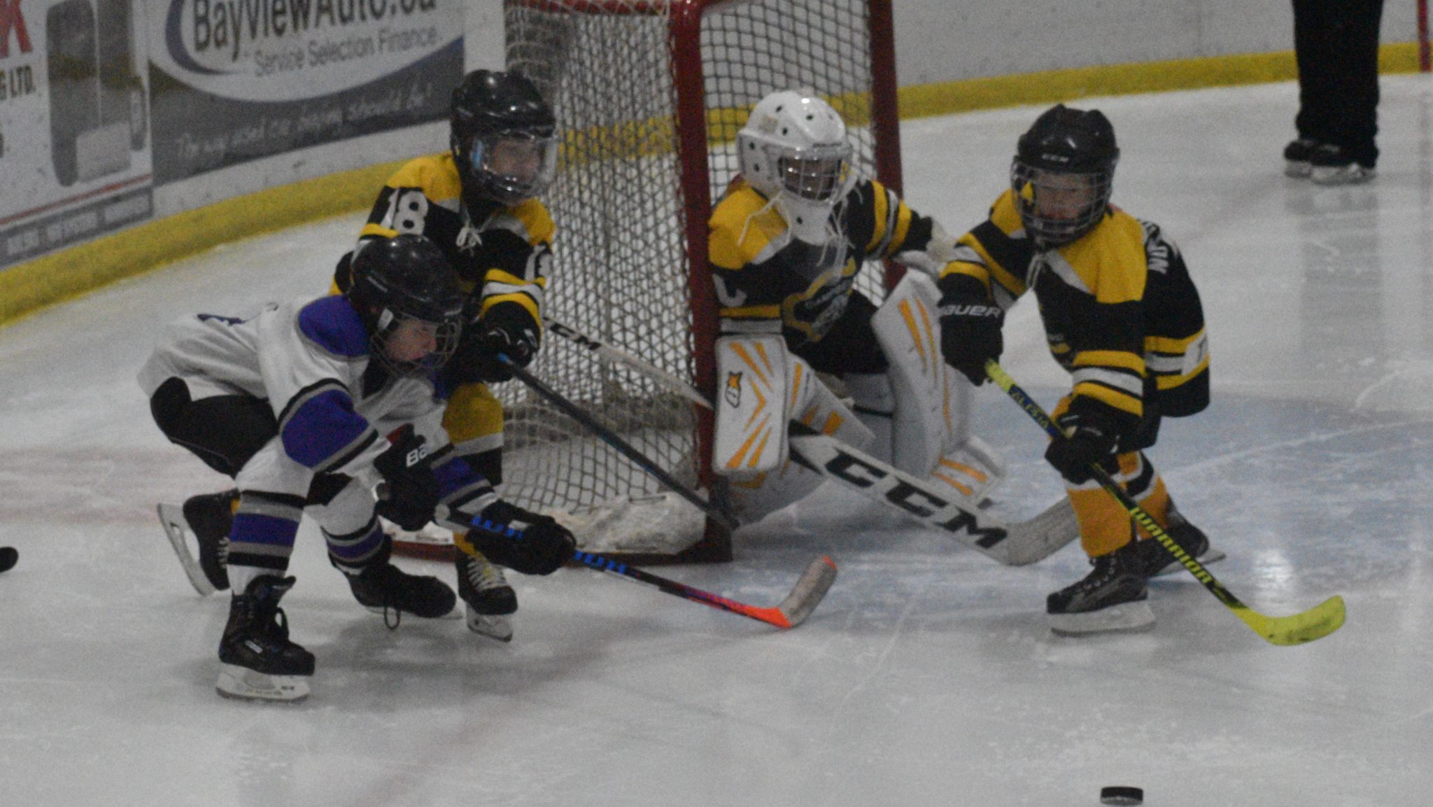 <p>CHARGED UP- (Left) Blake Shephard and his Novice County Farm Centre Kings will be amongst the 44 teams playing in the 9th annual Recharge with Milk Minor Hockey Tournament presented by the Dairy Producers of Prince Edward County here this weekend. (Jason Parks/Gazette Staff)</p>
