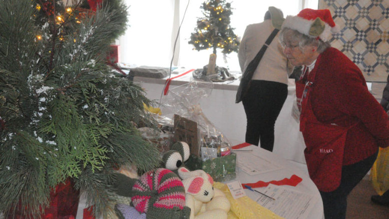 <p>Seasonal selections -Prince Edward County Memorial Hospital Auxiliary volunteer Fran Donaldson looks at one of nearly 200 donated trees and prizes available for bid at the Prince Edward County Festival of Trees Sunday morning. There were items decorated to satisfy a wide range of tastes. (Adam Bramburger/Gazette staff)</p>
