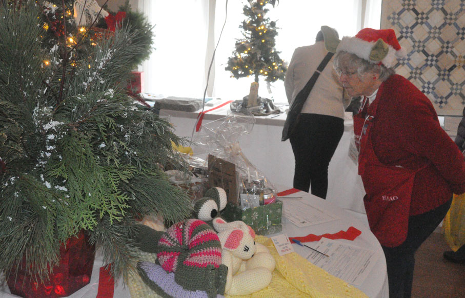 <p>Seasonal selections -Prince Edward County Memorial Hospital Auxiliary volunteer Fran Donaldson looks at one of nearly 200 donated trees and prizes available for bid at the Prince Edward County Festival of Trees Sunday morning. There were items decorated to satisfy a wide range of tastes. (Adam Bramburger/Gazette staff)</p>
