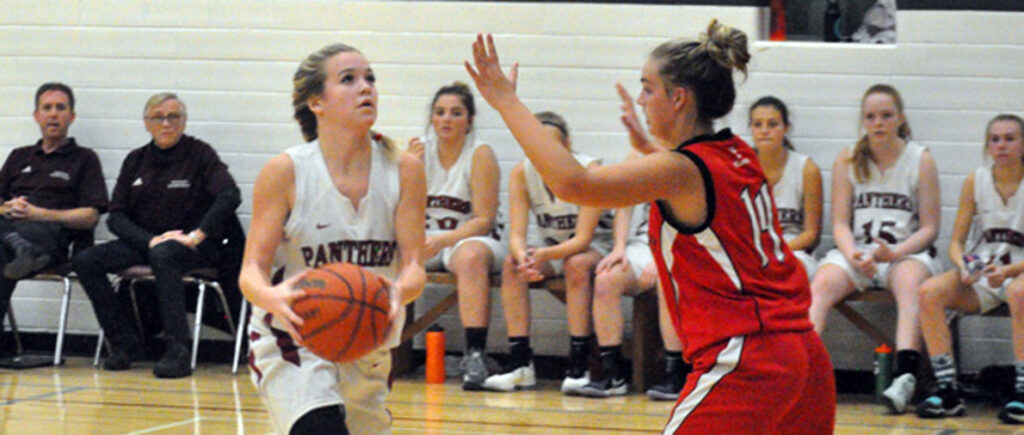 <p>VETERAN LEADERSHIP -PECI Senior Mikayla Leavitt looks to make a basket with Bayside’s Haleigh Van Dyk defending during 2018 Bay oF Quinte Conference quarterfinal action. (Adam Bramburger/Gazette staff)</p>
