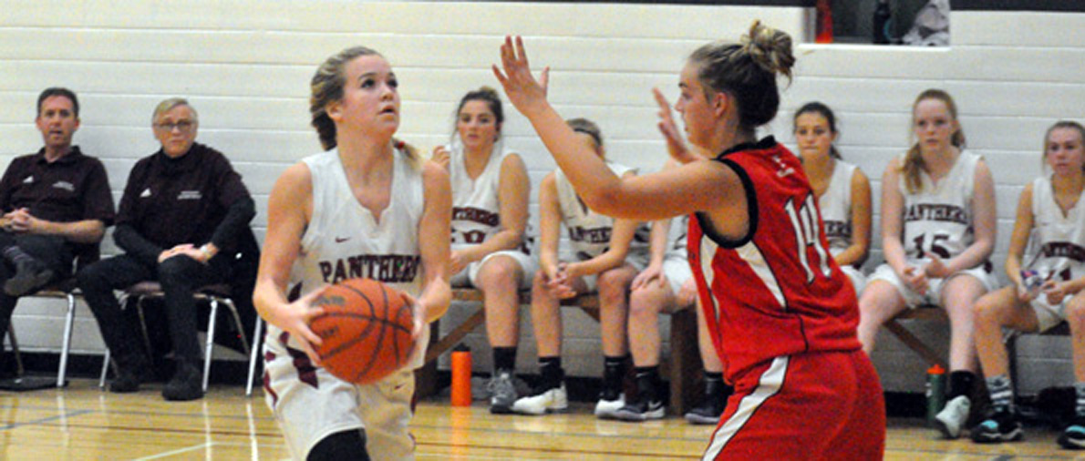 <p>VETERAN LEADERSHIP -PECI Senior Mikayla Leavitt looks to make a basket with Bayside’s Haleigh Van Dyk defending during 2018 Bay oF Quinte Conference quarterfinal action. (Adam Bramburger/Gazette staff)</p>

