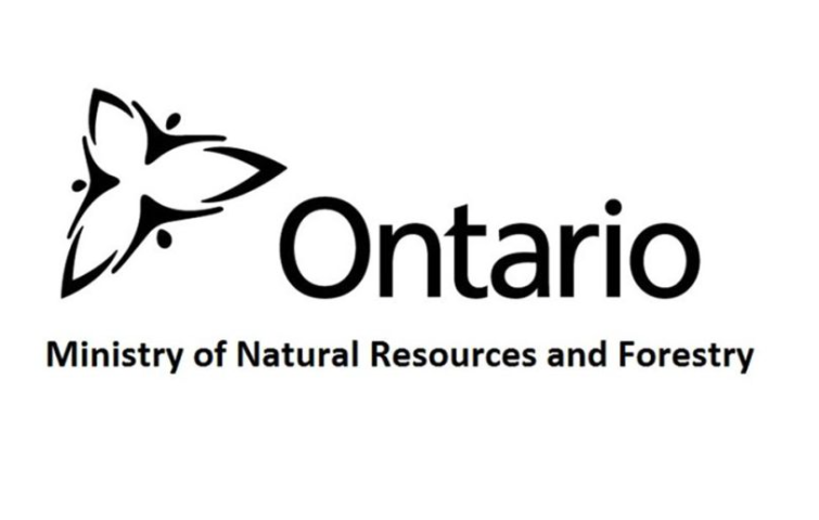<p>Ministry of Natural Resources and Forestry</p>
