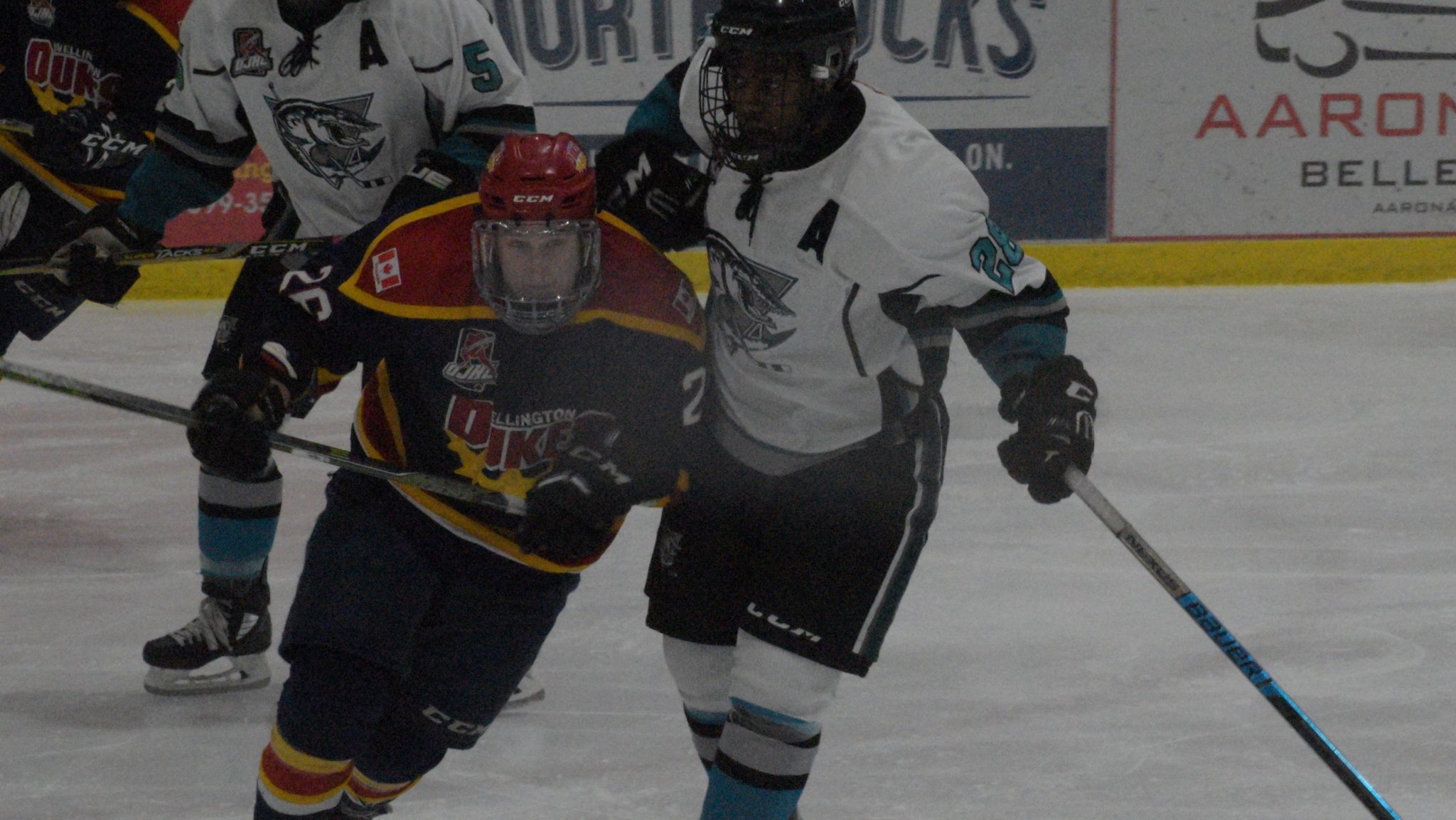 <p>SQUISHING THE FISH- Ben Woodhouse had four points in Wellington&#8217;s 8-4 win over Brandon Carr Ansah and the  Lindsay Muskies Sunday. (Jason Parks/Gazette Staff)</p>
