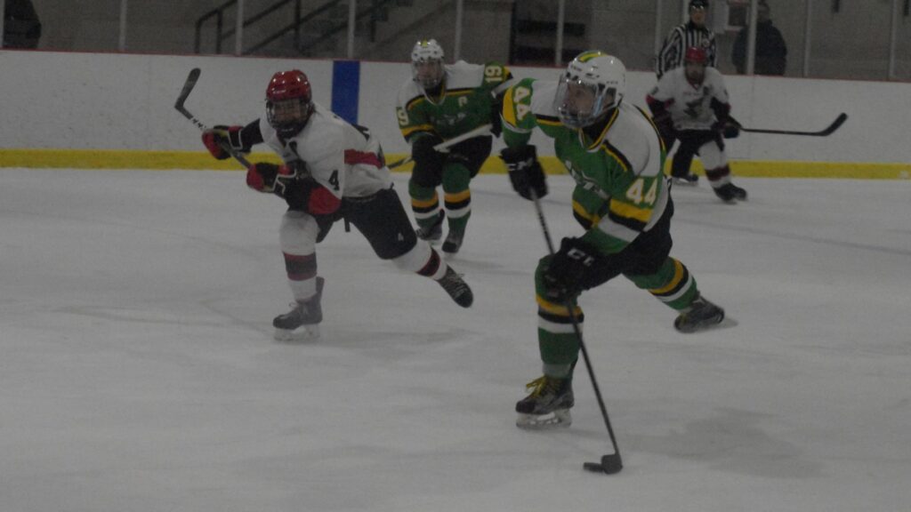 <p>Picton Pirates defenceman Kurtis Wood chases Amherstview Jets forward Jaydon Wood (no relation) during Game One of their respective club’s Tod Division best of seven semi-final series. (Jason Parks/Gazette Staff)</p>
