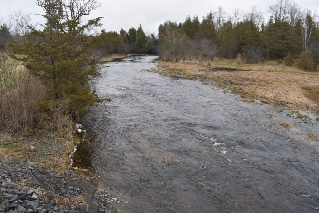 <p>Consecon Creek in Allisonville just north of Wellington. (Jason Parks/Gazette Staff)</p>
