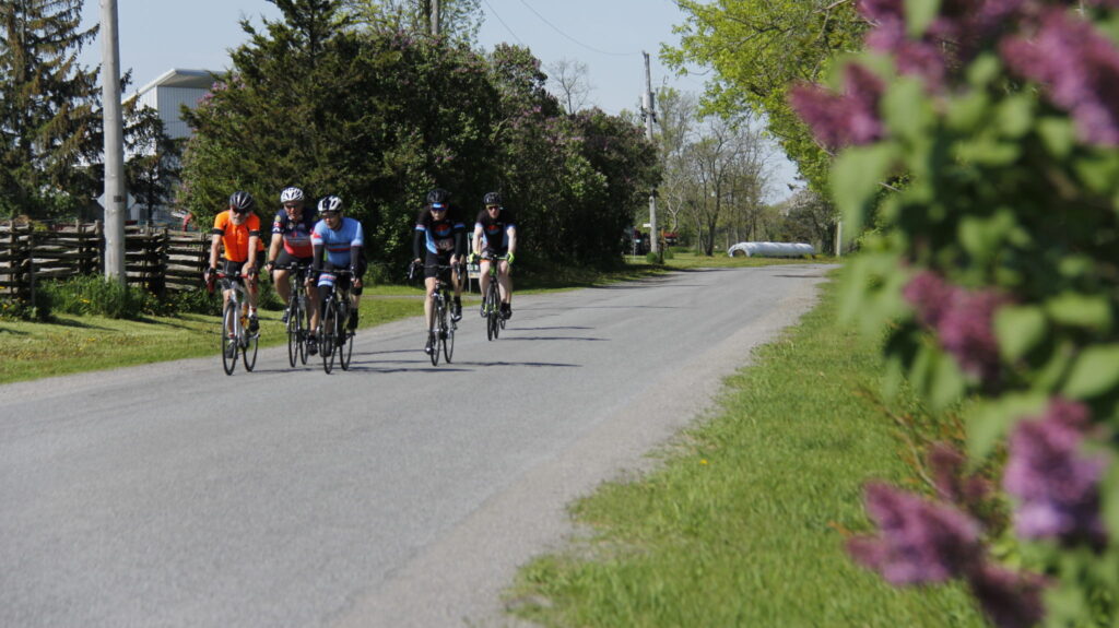 <p>Rotary Lilac Ride</p>
