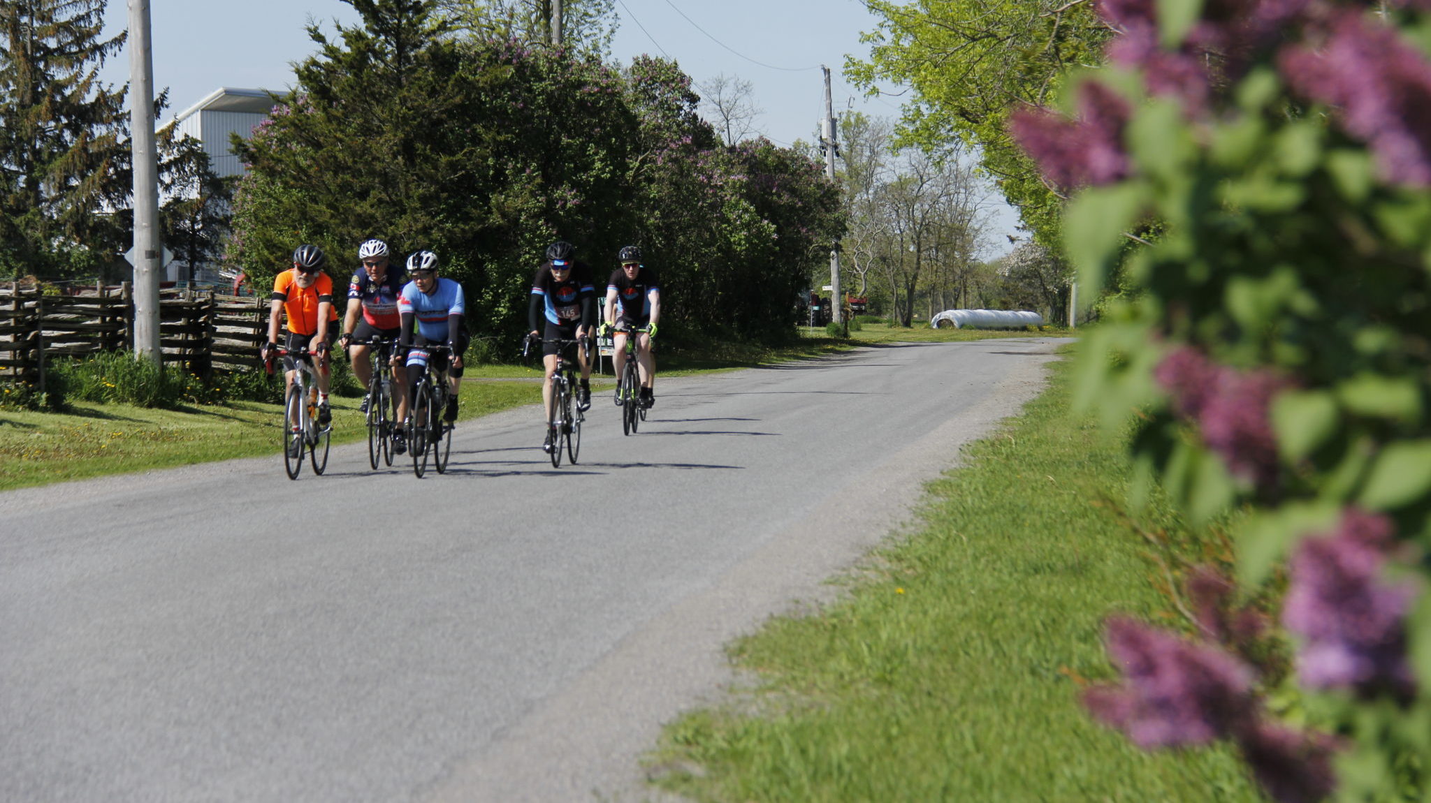<p>Rotary Lilac Ride</p>
