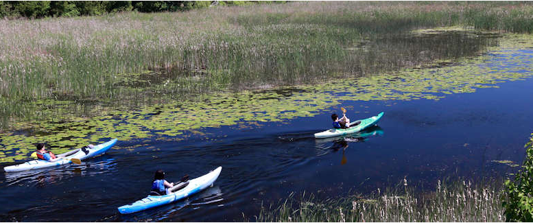 <p>PADDLING ALONG Leisurely boating on the Outlet River. (Photo courtesy of John A. Brebner)</p>
