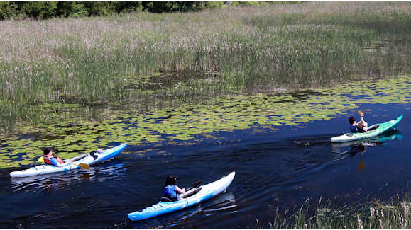 <p>PADDLING ALONG Leisurely boating on the Outlet River. (Photo courtesy of John A. Brebner)</p>

