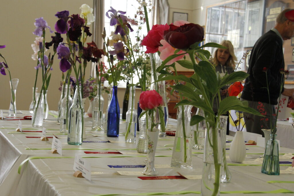<p>IN FULL BLOOM- The colours were sensational at the annual County Blooms Flower and Garden Show at the Wellington Town Hall on Saturday. (Desirée Decoste/Gazette Staff)</p>
