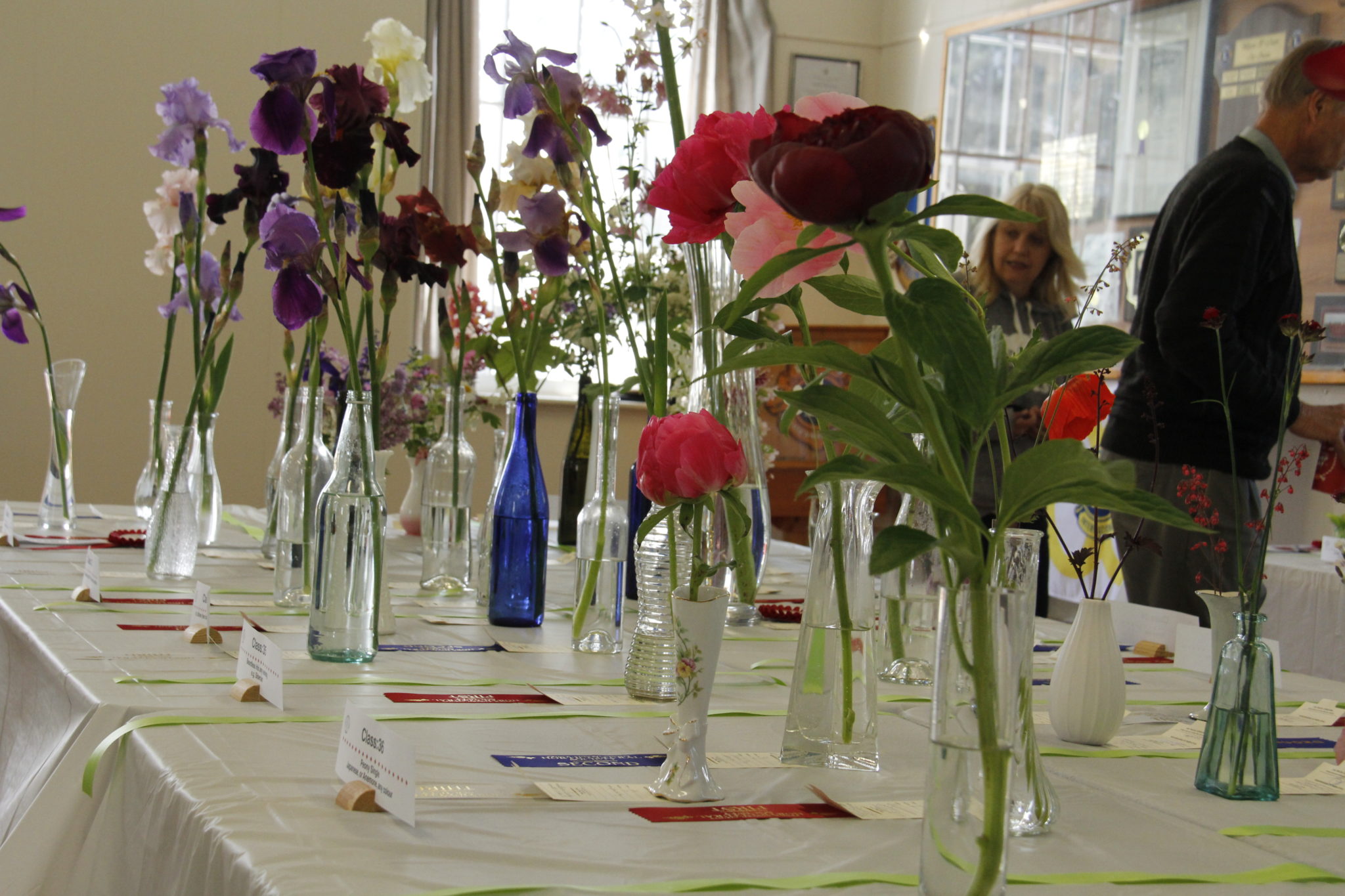 <p>IN FULL BLOOM- The colours were sensational at the annual County Blooms Flower and Garden Show at the Wellington Town Hall on Saturday. (Desirée Decoste/Gazette Staff)</p>
