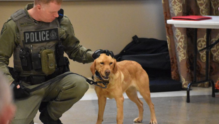 <p>SUCCESSFUL SEARCHERS- OPP Constable Scott Gannon and Zoe, a specialized police tracking dog, were part of the team that successfully rescued a pair of lost teenaged campers in Algonquin Park on Monday morning. (Jason Parks/Gazette File Photo)</p>
