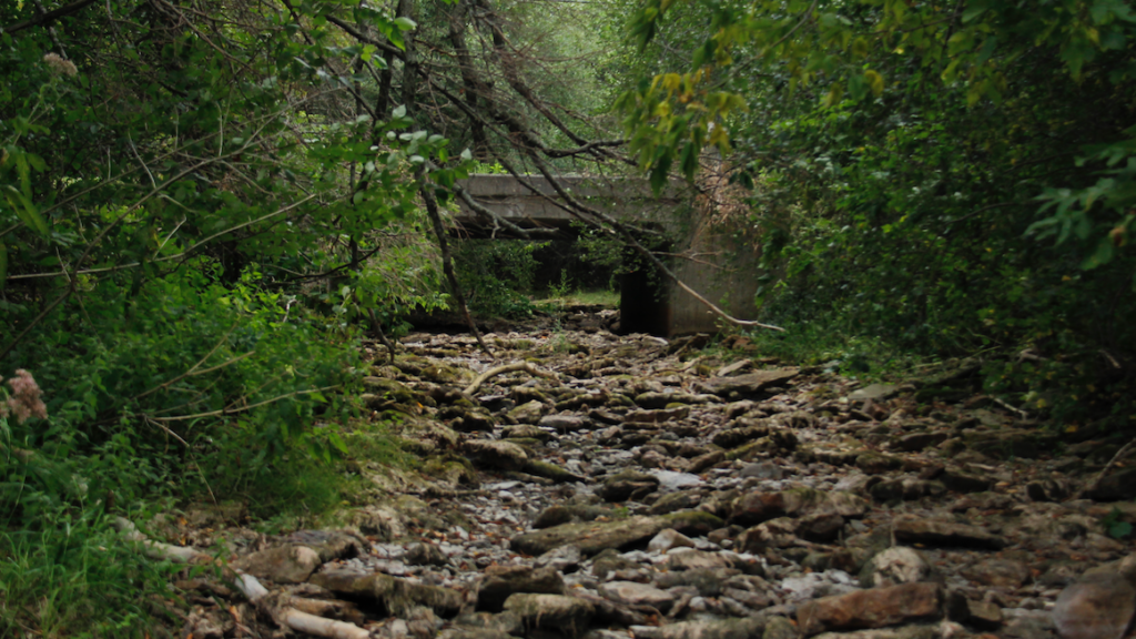 <p>Dry creek and river beds are widespread throughout the Quinte area in 2025.  (Desirée Decoste/Gazette File Photo)</p>
