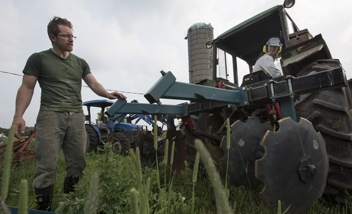 <p>Kingston area farmer and activist Aric McBay. (aricmcbay.org)</p>
