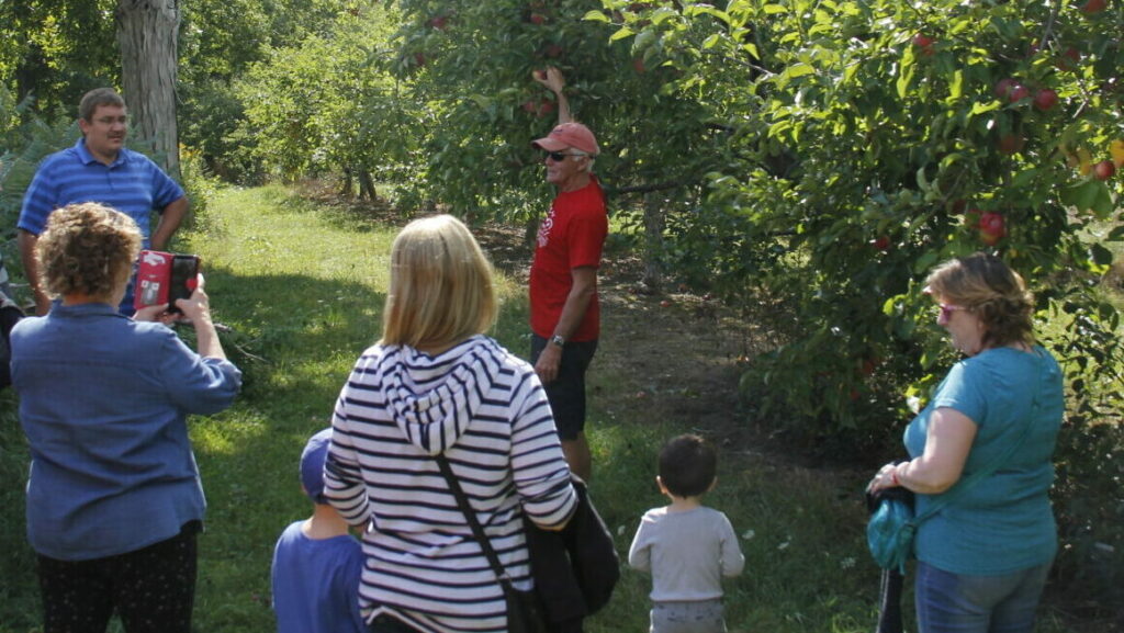 <p>FRUITS OF THE FARM Colin Campbell, owner/operator at Campbell’s Orchards, demonstrates how to properly pick an apple on one of the wagon rides through the orchard at their 50th anniversary on the weekend. (Desirée Decoste/Gazette Staff)</p>
