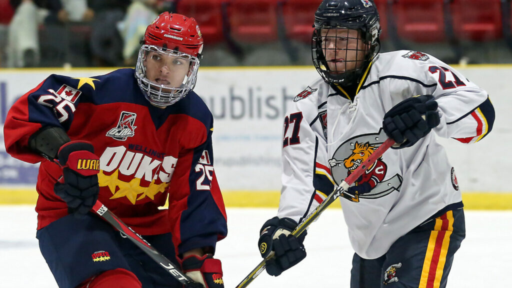 <p>Wellington&#8217;s Dylan Massie<br />
(Ed McPherson / OJHL Images)</p>

