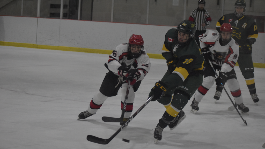<p>(At right) Owen Dever has 10 goals to lead Picton scoring. (Jason Parks/Gazette Staff)</p>
