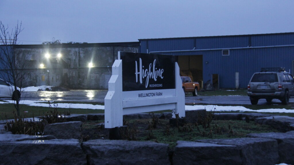 <p>Highline Mushroom Farm. (Desirée Decoste/Gazette File Photo)</p>
