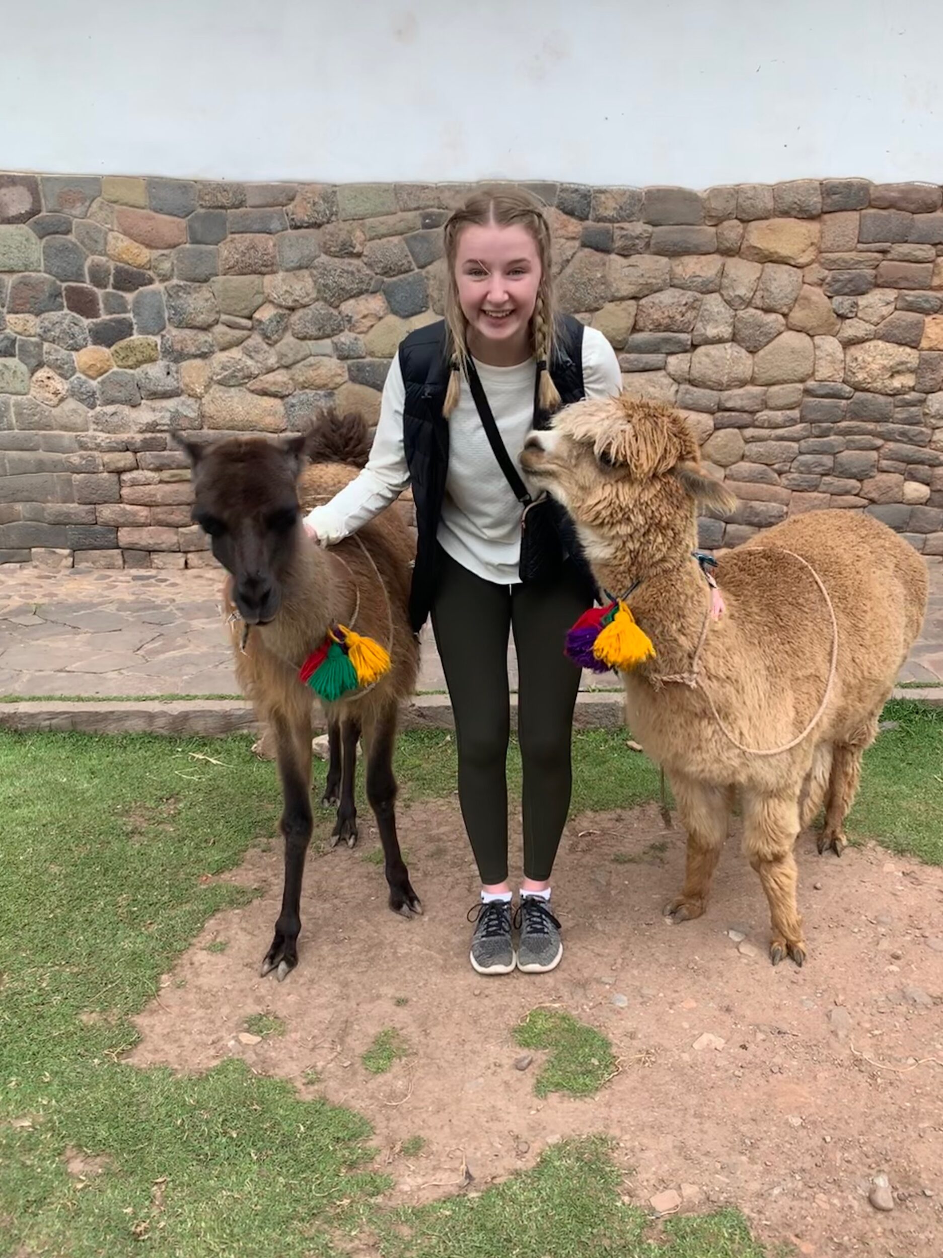 <p>County resident Emma Goodman with some furry friends in Cusco, Peru. (Submitted Photo)</p>
