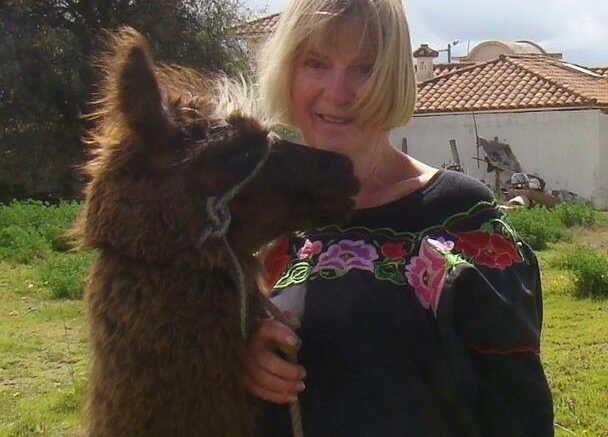 <p>SUNNIER CLIMES – Linda Swaine, pictured here with one of her Llamas in Ecuador, was trapped aboard a cruise ship for several days due to the Coronavirus. (Submitted Photo)</p>
