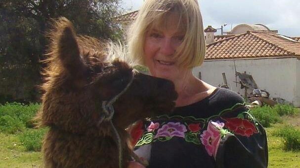 <p>SUNNIER CLIMES – Linda Swaine, pictured here with one of her Llamas in Ecuador, was trapped aboard a cruise ship for several days due to the Coronavirus. (Submitted Photo)</p>
