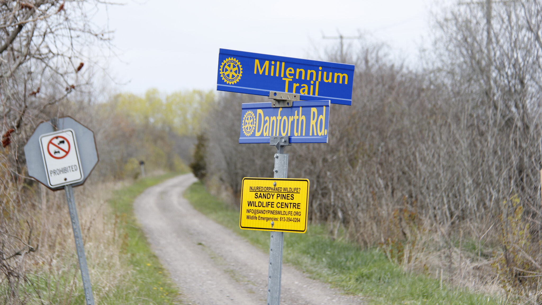 <p>TALES AND TAILS ON THE TRAIL The Millennium Trail entrance at Danforth Road. Members of the public that travel the trail near Slab and /or Hubbs Creek are asked to document wildlife in those areas. (Desirée Decoste/Gazette Staff)</p>

