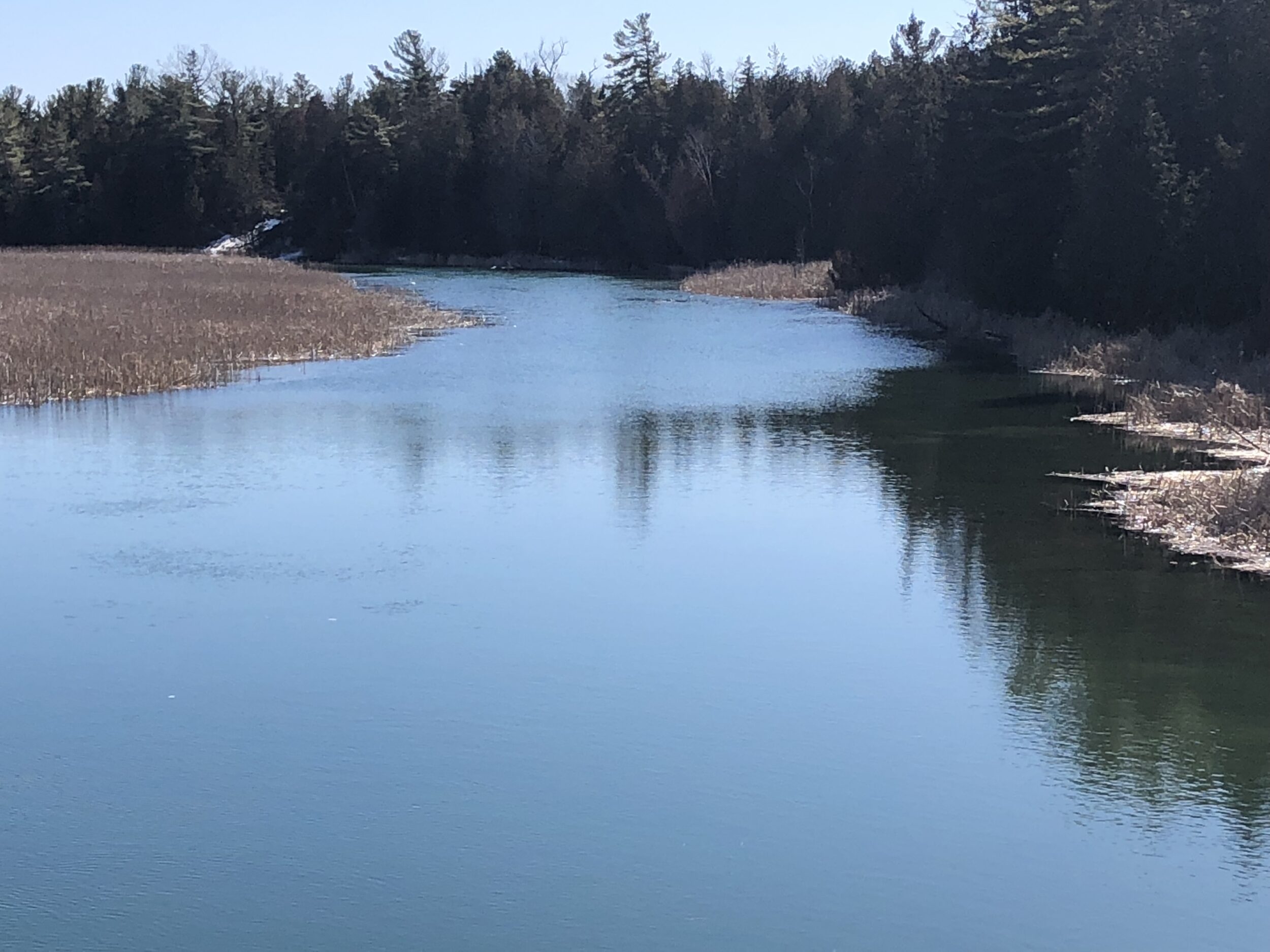 <p>EVER SHE FLOWS The Outlet River in late March. Sandbanks and North Beach Provincial Park will open on a limited basis starting tomorrow. (Jason Parks/Gazette Staff)</p>
