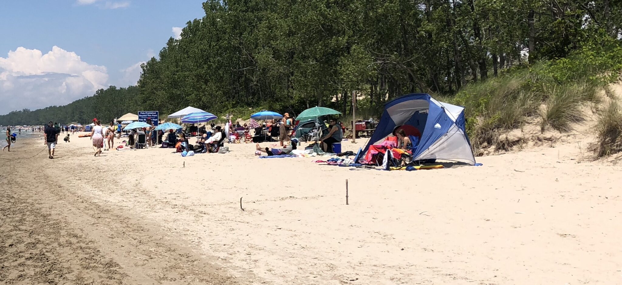 <p>Early day capacity at Sandbanks Provincial Park led to visitors exploring other shoreline areas to access water in 2020. (Jason Parks/Gazette Staff)</p>
