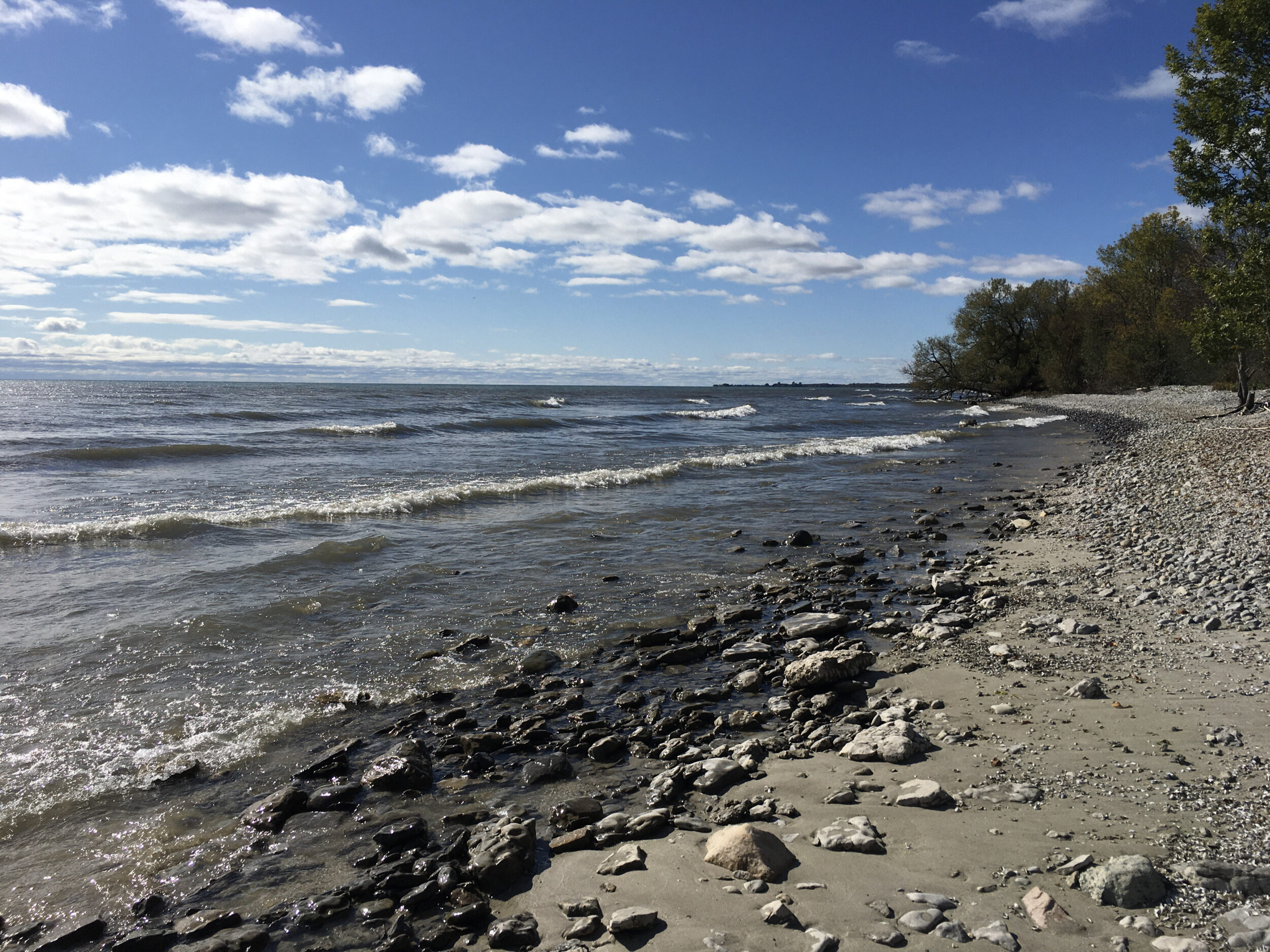 <p>MapleCross Shoreline Reserve, Eastern Lake Ontario Coast, ON (Photo by NCC)</p>
