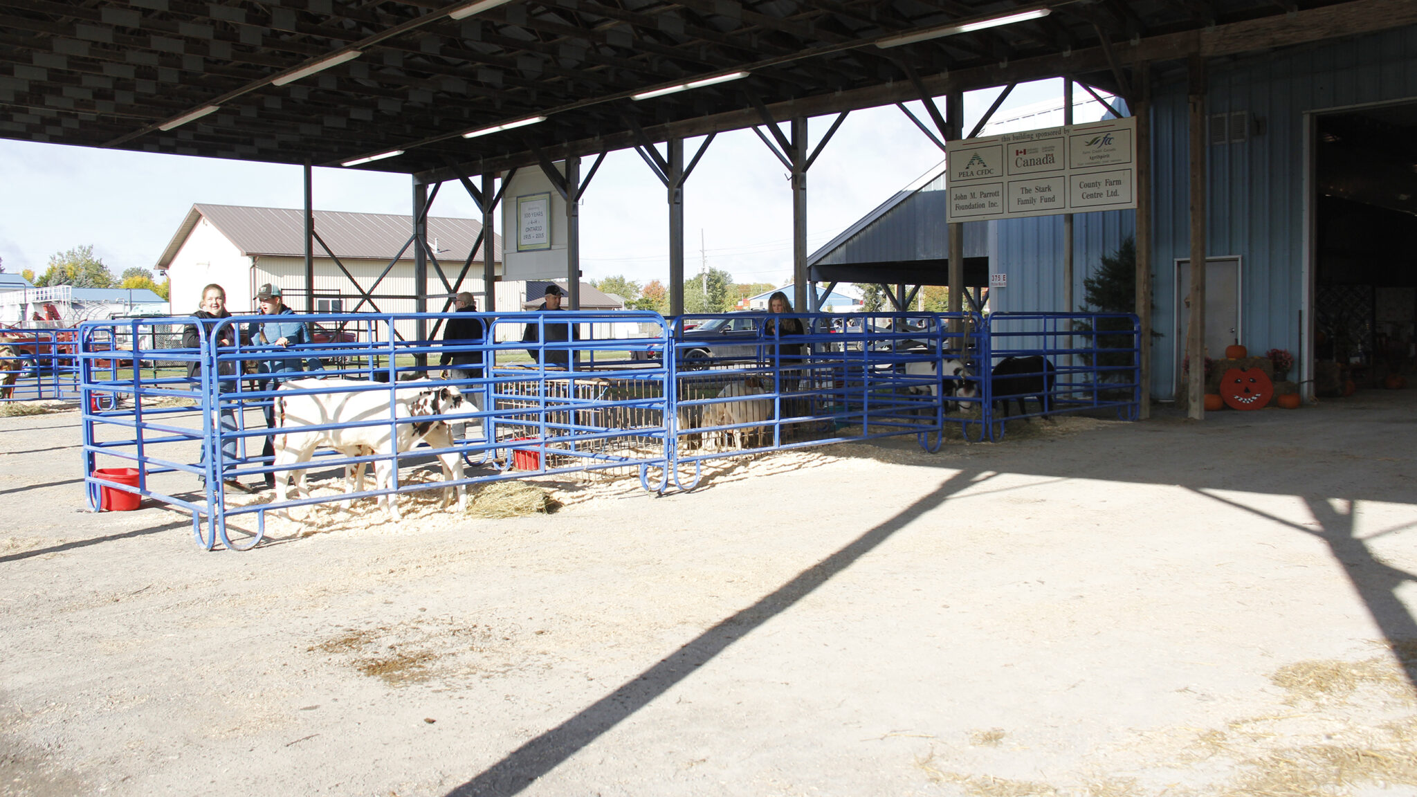 <p>WHAT A SIGHT Over 800 cars travelled to the Picton fair grounds on Saturday to participate in the Picton Drive-Thru Festival, an alternative to The Picton Fair as it was cancelled for 2020.<br />
(Desirée Decoste/Gazette staff)</p>

