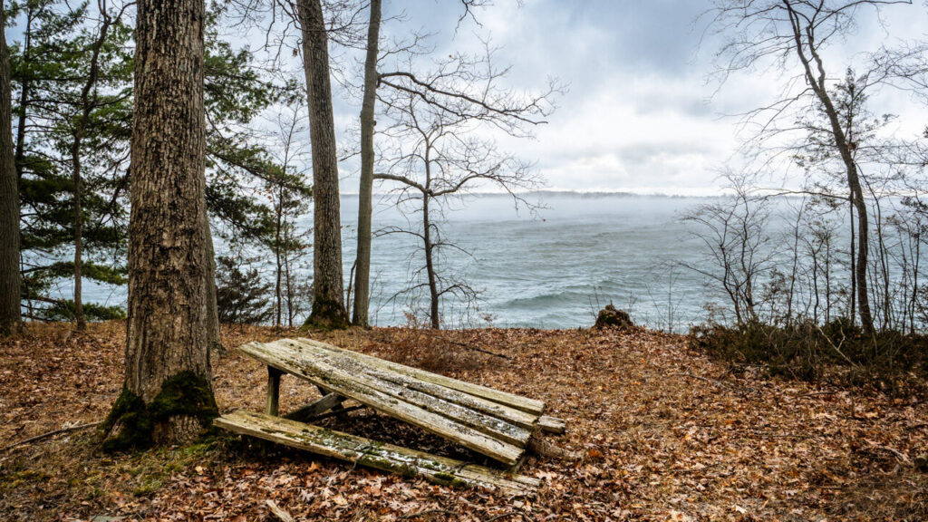 <p>PROTECTING THE LAND The McMahon Bluff on the South Shore of Prince Edward County, owned by local land owner Mike Wilson, has generously agreed to donate the 97-hectare (241-acers) of his land to the Nature Conservancy of Canada to help preserve the property which provides vital breeding and stopover habitat for migratory birds. (Photo by Bert Jenkins)</p>
