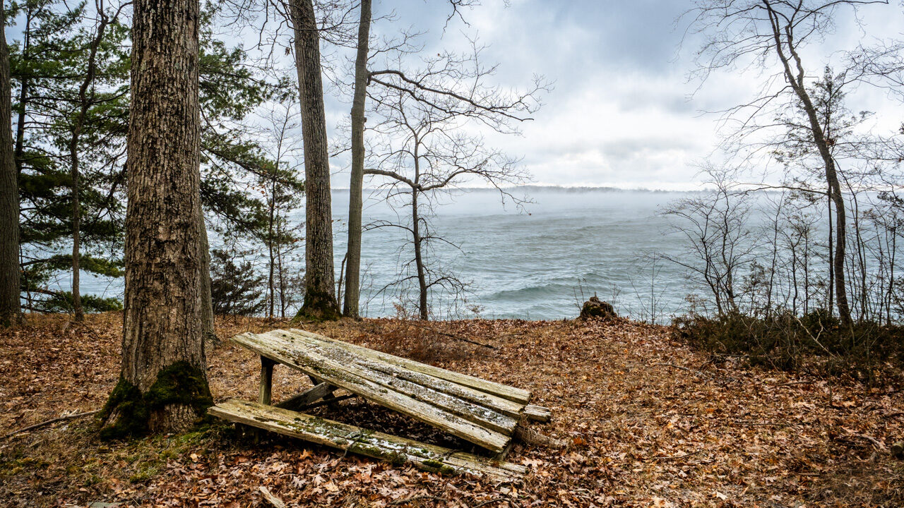 <p>PROTECTING THE LAND The McMahon Bluff on the South Shore of Prince Edward County, owned by local land owner Mike Wilson, has generously agreed to donate the 97-hectare (241-acers) of his land to the Nature Conservancy of Canada to help preserve the property which provides vital breeding and stopover habitat for migratory birds. (Photo by Bert Jenkins)</p>
