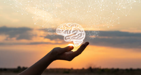 <p> (iStock photo)</p>
