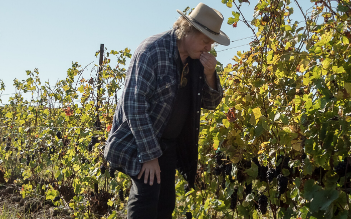 <p>Dan Sullivan of Rosehall Run in the winery’s vineyard. Rosehall, Karlo Estates and Closson Chase have been listed amongst Ontario’s 20 best wineries Vineroutes.com. (Rosehall Run photo)</p>

