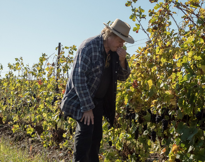 <p>Dan Sullivan of Rosehall Run in the winery’s vineyard. Rosehall, Karlo Estates and Closson Chase have been listed amongst Ontario’s 20 best wineries Vineroutes.com. (Rosehall Run photo)</p>
