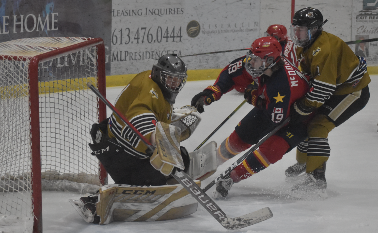 <p>BUSY AT THE NET Trenton Golden Hawks netminder William Nguyen made 37 saves in Game 4 of the Spring Development Series to vault his team to a 4-2 win at Lehigh Arena on Friday. Wellington forward Brodie McDougall (pictured) finally solved Nguyen late in the second with a shorthanded effort.   (Jason Parks/Gazette Staff)</p>
