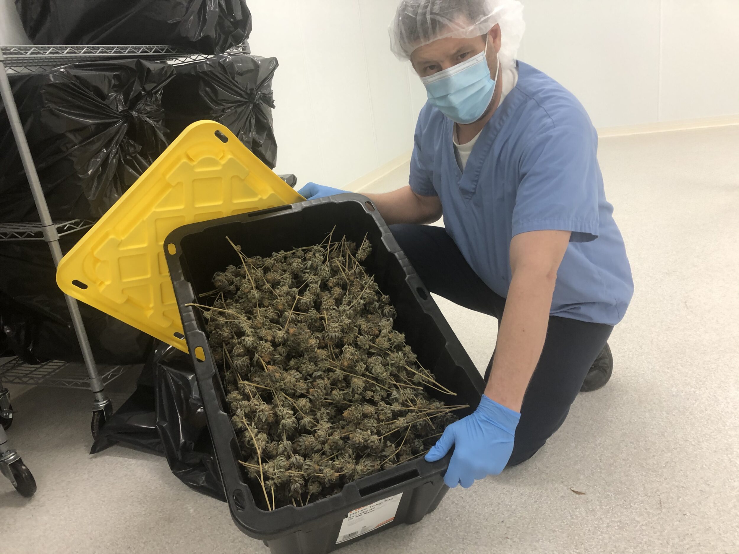 <p>Prince Edward County Growers Master Grower Calum McRae with a box of Granola Funk, the first batch of recreational cannabis grown in Prince Edward County. (Jason  Parks/Gazette Staff)</p>

