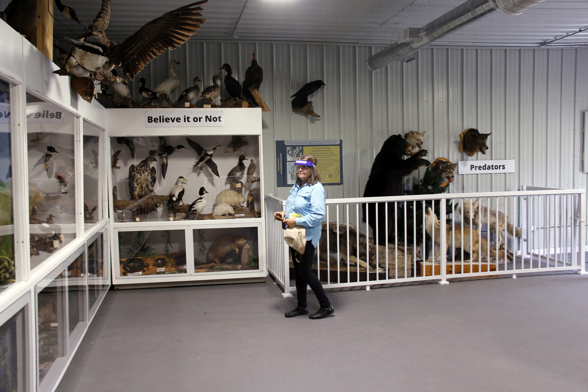 <p>STUFFED At the Ameliasburgh Heritage Village last week, the de Vries natural heritage collection of taxidermied animals was shown to a small group of invited guests. Around 500 animals are in the collection. (Desirée Decoste/Gazette staff)</p>
