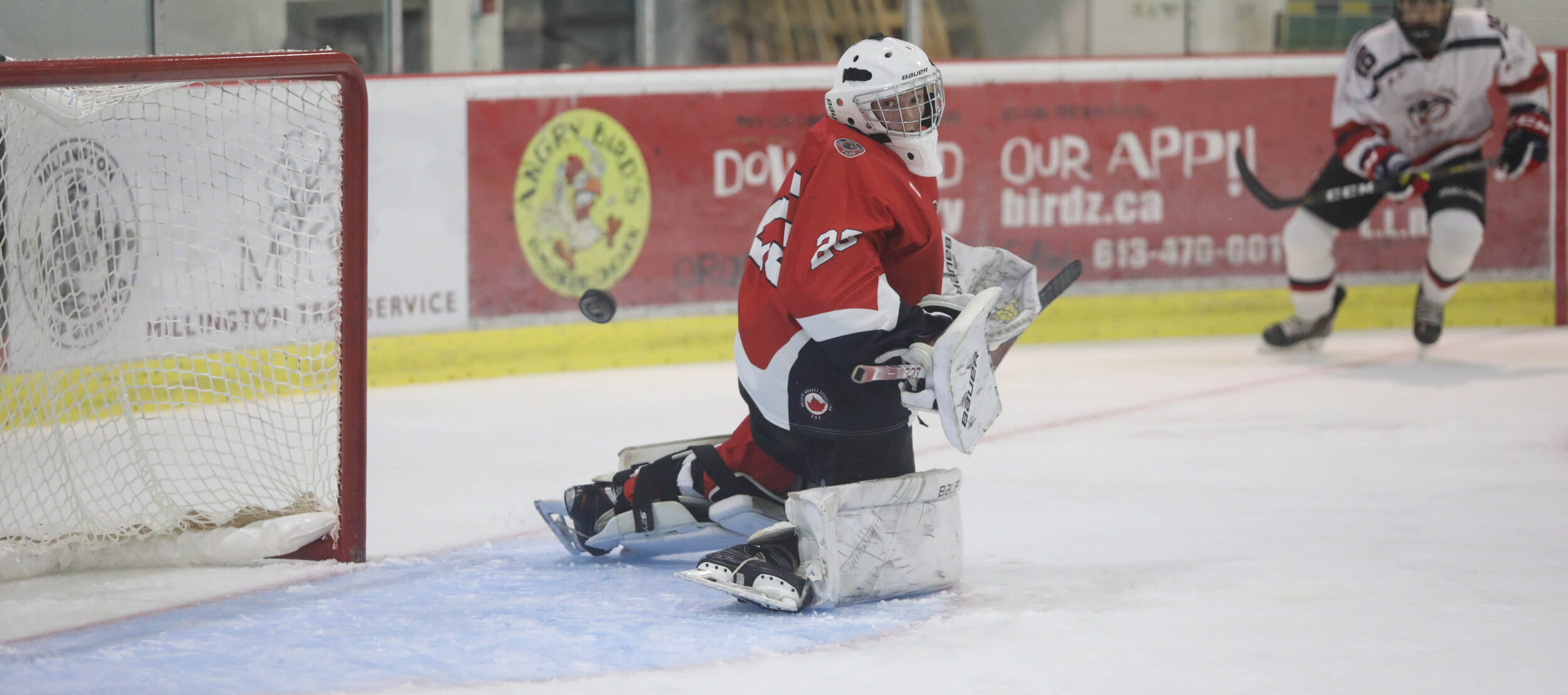 <p>Nolan Lane. (Shawna Adams for the Gazette)</p>
