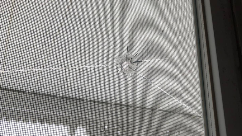 <p>Photo evidence of a bb or pellet that was fired through the window of a Picton home owner. (Facebook photo)</p>
